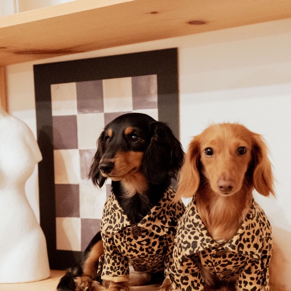 Meet your Posher, Chelsea & Brooklyn - Picture 5 of 6